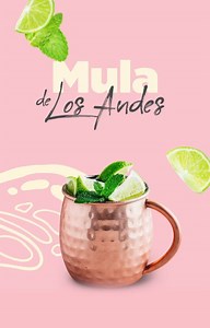 Aprovecha este fin de semana largo para preparar un trago diferente y exclusivo de nuestra coctelería de autor. Revisa la receta y preparación en nuestro Instagram TV | Enjoy Casino & Resort | Facebook