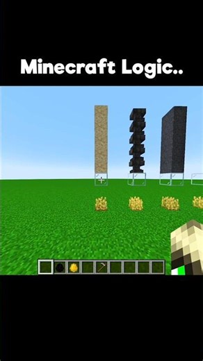 Minecraft Logic..☠️#minecraft #shorts