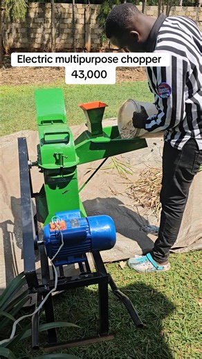 Electric Driven Chopper for Multipurpose Use