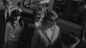 Free School Transport