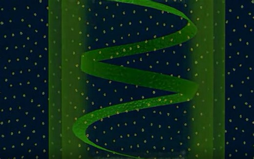 5.4.1恩格尔曼实验