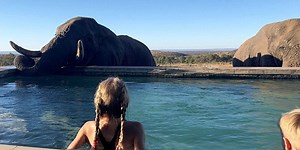 Visitors experienced the impressive moment, the elephant cooled off with a 'drink' in the pool (Video)