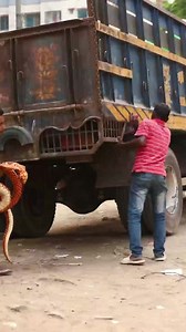 32K views · 96 reactions | KING COBRA SNAKE PRANK ON Public Part 31! EMTIAZ BHUYAN #Reels | Globek LLC | Facebook