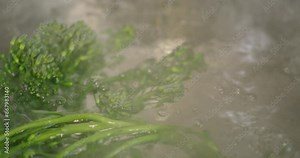 Adding broccolini into boiling water