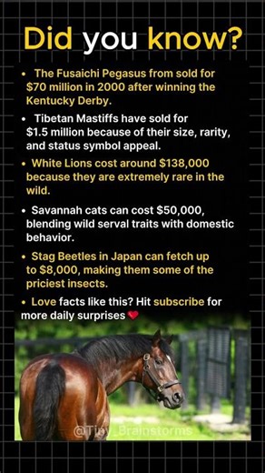 The Most Expensive Animals and Pets