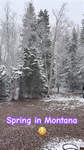 Spring in Montana… Just Kidding, It’s Snowing Again ❄️😂