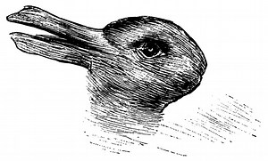 37 ilusiones ópticas que te harán alucinar