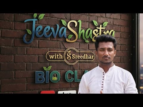 Human Vertebral Column | PUC Biology