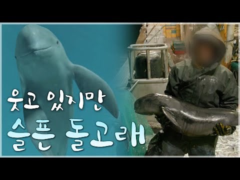 세계적으로 희귀한 멸종 위기 동물이 우리나라에서만 일 년에 5,000여 마리씩 바다에 버려지는 이유│여섯 번째 대멸종│다큐프라임