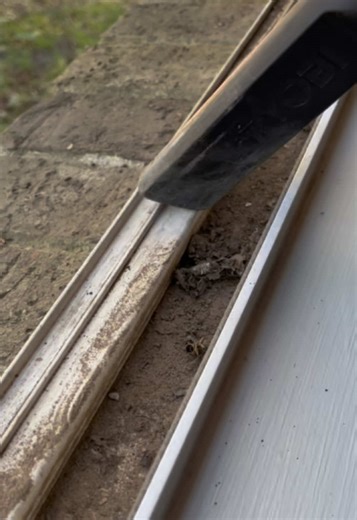 Satisfying Vacuuming Video for Stress Relief