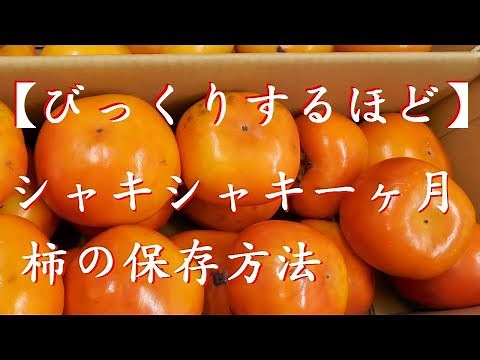 【柿の保存方法】びっくりするほどシャキシャキの状態を約一ヶ月保つ方法Save fruit of persimmon for 1 months deliciously