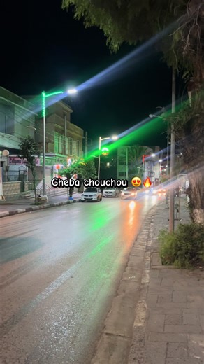 Cheba Chouchou: L'Essence de la Musique Rai