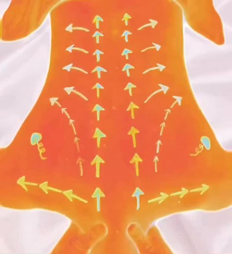 Back massage tutorial. #massage #massagetherapy #back#backmassage #backworkout #bodymassage #bodywork #bodycare #healthcare #bodyworkout #massagetutorial #howtomassage #relaxingmassage #healing #relax #massagetime #fyp#fyp #foryou | Healing Spa