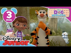 Doc McStuffins & Winnie the Pooh | Get Down Song | ‪@disneykids‬
