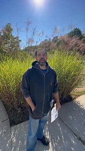 46 reactions | “Our students are thrilled with their experience at E-Z Wheels Driving School! After completing the course, they share how happy and grateful they are to have passed their Commercial Driver’s License and how our training made the process smooth and stress-free.” | E-Z Wheels Driving School | Facebook