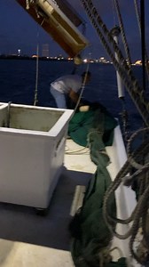 30 minutes before sunrise we throw the shrimp net in Galveston Bay. My husband, Jason, shrimps and helps me out on the weekends as it’s our busiest time of the week. Today the legal limit has increased from 200 pounds of shrimp to either 600 or 800 pounds. I need to confirm info before we pick up the first drag. The drags usually last an hour before we pick up and observe our catch. 💖 Wish us luck! #shrimp_diva #galvestonlifestyle | TX Shrimp Diva