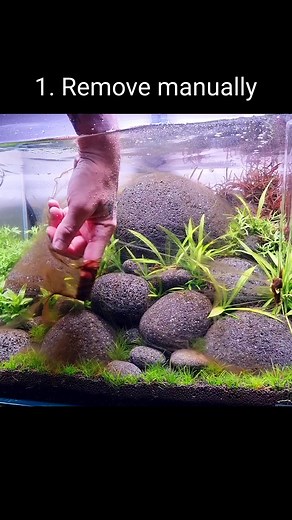 Oliver Knott on TikTok