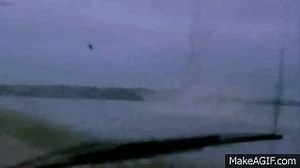 Tornado Cow Sighting on Make a GIF