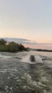Angry hippo chases boat... must watch!