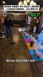 Top 1% dog kindergarten training time^^ #TrainerKimJaeYoung #DogTrainer #PuppyTraining