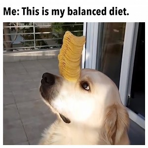 life is about balance. | Smosh