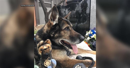 CBS13 News AM News Update - 9/13/22