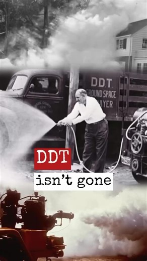 Medical Medium® on Instagram: "from @umashealing • DDT 👨🏻‍🔬 “We can’t escape the past that easily. DDT is still in our environment and our bodies, and it’s still behind illness today, even for those who were born long after its ban.” “DDT, other pesticides, and herbicides are the major underlying cause of suppressed immune systems—they weaken people’s bodies so that pathogens and contaminants can take advantage.” “While DDT may be in history books now, it is still preying