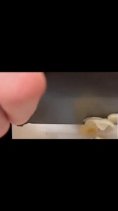 15K views · 353 reactions | Grande Fratello EXCLUSIVE SERIALIZED...