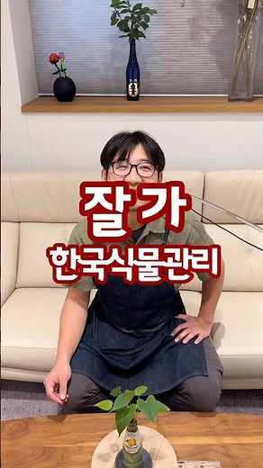 10년 가까이 함께한 이름, 이제는 보내주려 합니다