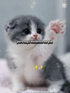 espero q la pasen bien 💗 los quiero muchísimo ah todos ❤️