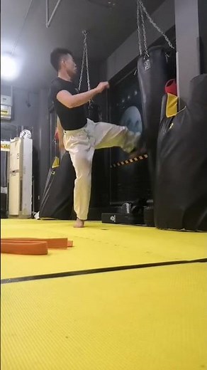 Boxing Kicks for Fighters | Hadi Sajjad Martial Arts