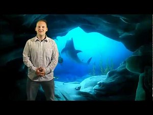 SAMMYS ABENTEUER - Schildkröten-Clip