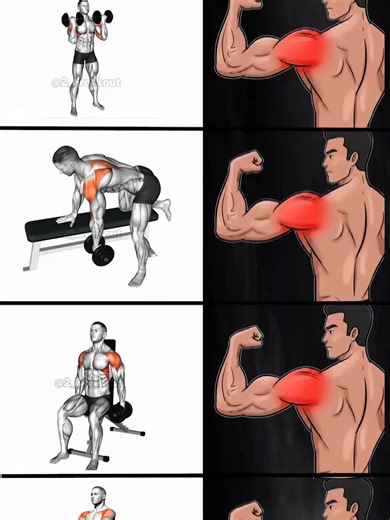 Effective Shoulder Day Routine for Optimal Gains