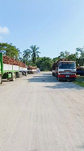 4.5K views · 44 reactions | Kenram Palm Oil Industries, INC. (KPII) #highlights2025 #viralreelsシ #follower #hilights #followers 719670413621539:49210:@topfans 100067357596750:2048:Red Butterfly Part 2 | Red Butterfly | Facebook