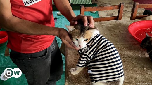 Bangladesh: A look inside Dhaka's first animal shelter