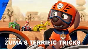PAW Patrol | Zuma's Terrific Tricks (S7, E22) | Paramount+