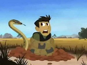 Happy Birthday, Wild Kratts Style!