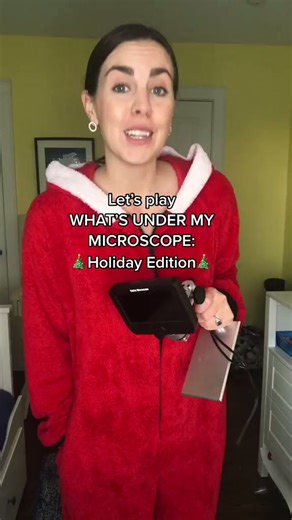 Can you guess these holiday items under a microscope