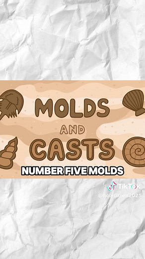 How Fossils Are Made (All Methods) simple animation about burial, mineral replacement, amber trapping, and imprints. #fossils #geology #animation #science #explained