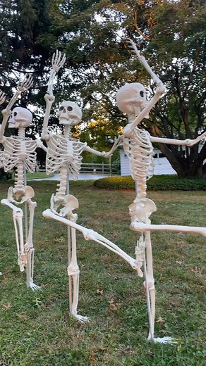 🦴💀 We shimmy into the ultimate bone-rattling bash — the Great Skeleton Conga Line! 💀🦴 💃 Up front, one funky femur is having way too much fun, hips swinging like there’s no tomorrow. 🕺 But somewhere in the middle, the rhythm’s gone rogue — the chain’s broken, bones are scattered, and chaos has entered the chat. 😂 At the end of the line? One poor skeleton’s lost the beat and his balance… tumbling right off the groove train! 🦴💥 From smooth moves to total collapse, this conga proved one thi
