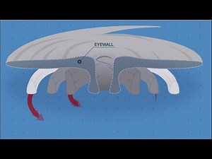 Hurricane eyewalls explained