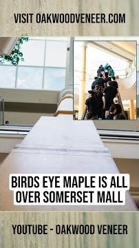 Birds Eye Maple Accents #shorts
