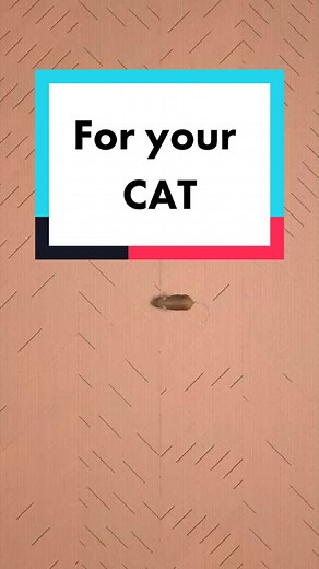 Interactive Mouse on Screen for Cats - Cat Owner Entertainment