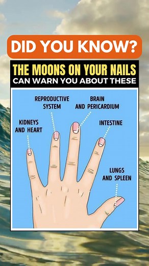126K views · 507 reactions | ✨ Nail Magic: The Enchanting Tale of Moons on Your Nails! ✨ Have you ever noticed the delicate crescent shapes that sometimes grace your nails? Prepare to be captivated as we explore the mystical significance behind these tiny lunar symbols! #DidYouKnow #nails #facts #Health #signs #meaning | Health Spirit Body | Facebook