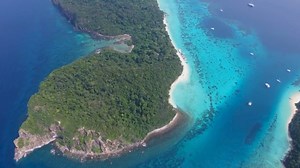 Top 20 Alan Turing Quotes (Author of The Essential Turing). @DailyQuotesHD. #AlanTuring #AlanTuringQuotes #TuringQuotes #TuringWisdom #ComputingPioneer #AIPhilosophy #Codebreaker #DigitalGenius #MathMind #InnovativeThinking #MachineIntelligence. | Positive Quotes