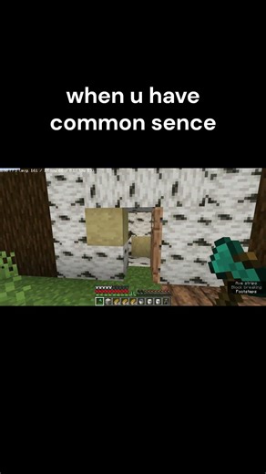common sense 👍#7x7 #minecraft
