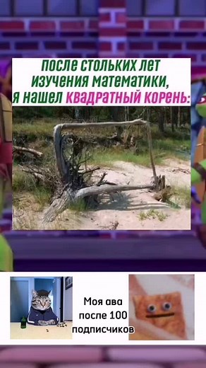 Квадратный корень: забавные мемы и персонажи