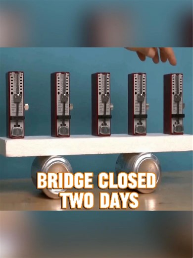 This $180M bridge closed after just 2 days because people walked in sync! 🤯 #millenniumbridge #london #engineering #usa #viral