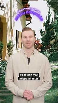 ¿Qué debo tener en cuenta antes de adoptar un gato?