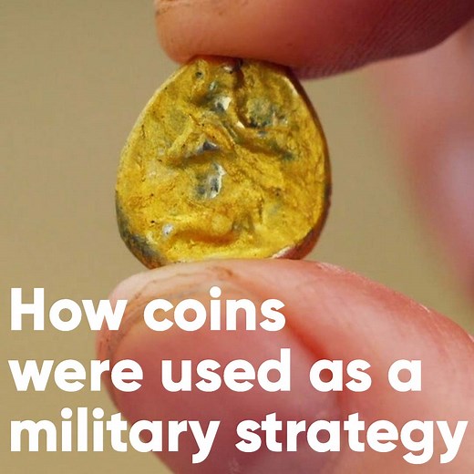 122K views · 1.8K reactions | This military strategy might surprise you!  | Discovery Channel UK | Facebook